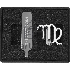 Шильд-символ Moleskine Zodiac Дева, металл, серебристый, коробка с европодвесом, PINVIRGOSILV