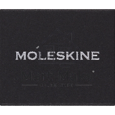 Шильд-символ Moleskine Zodiac Дева, металл, серебристый, коробка с европодвесом, PINVIRGOSILV
