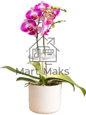 Светильник фито Cactus GARDEN светод. 7.5Вт цв.св.:белый (CS-LED-ORCHID)