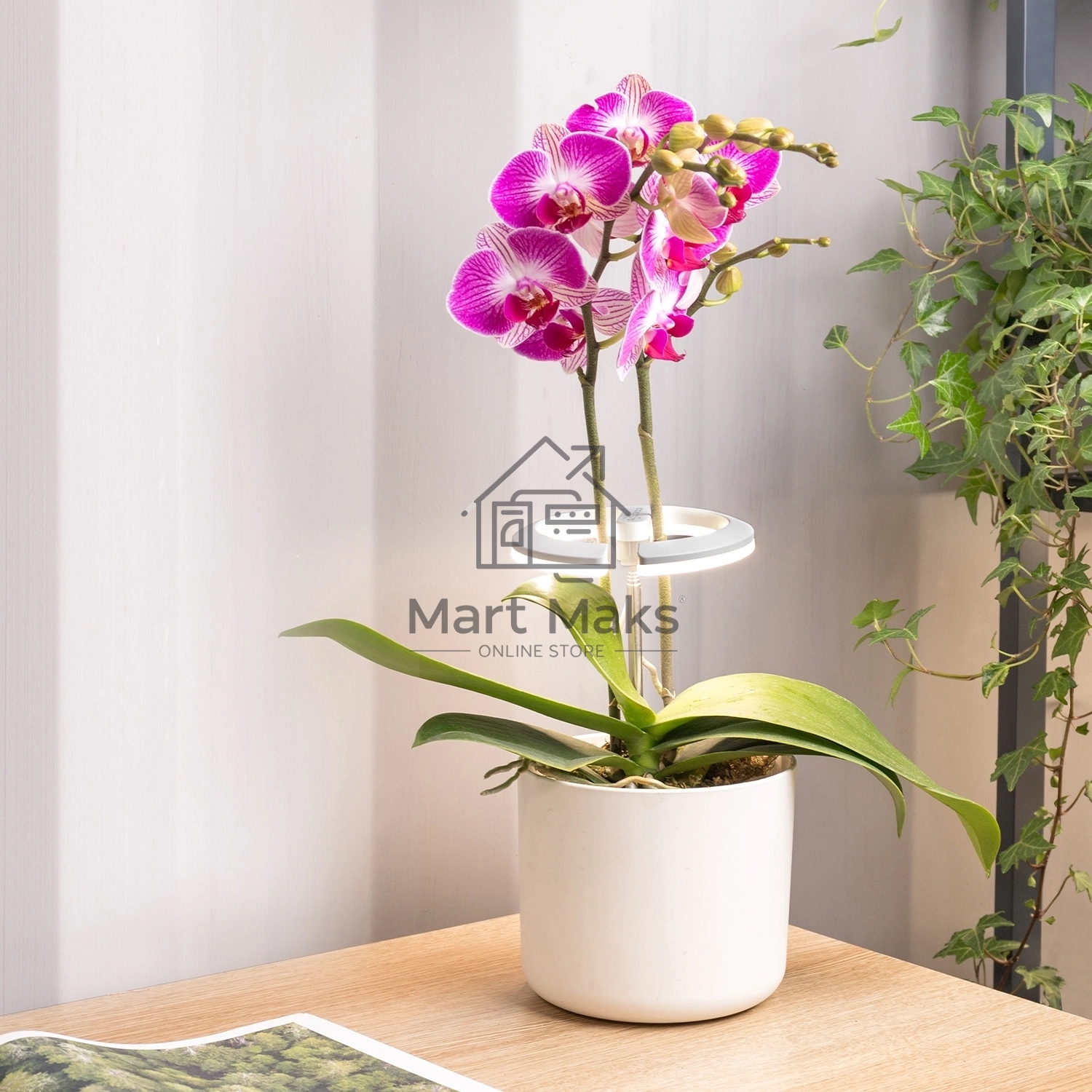 Светильник фито Cactus GARDEN светод. 7.5Вт цв.св.:белый (CS-LED-ORCHID)