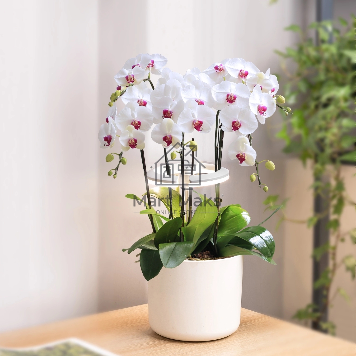 Светильник фито Cactus GARDEN светод. 7.5Вт цв.св.:белый (CS-LED-ORCHID)