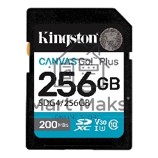 Флеш карта SDXC 256Gb Kingston SDG4/256Gb Canvas Go! Plus V30