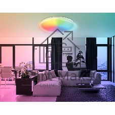 Светодиодный светильник Ambrella light FZ1615 FR матовый IP20 60W 3000-6500K+RGB 510*100 (ПДУ ИК)