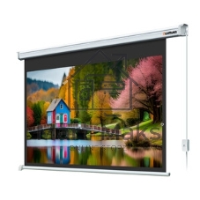 Экран с электроприводом Lumien Master Control 174х240 см (раб. область 130х232см) (104
