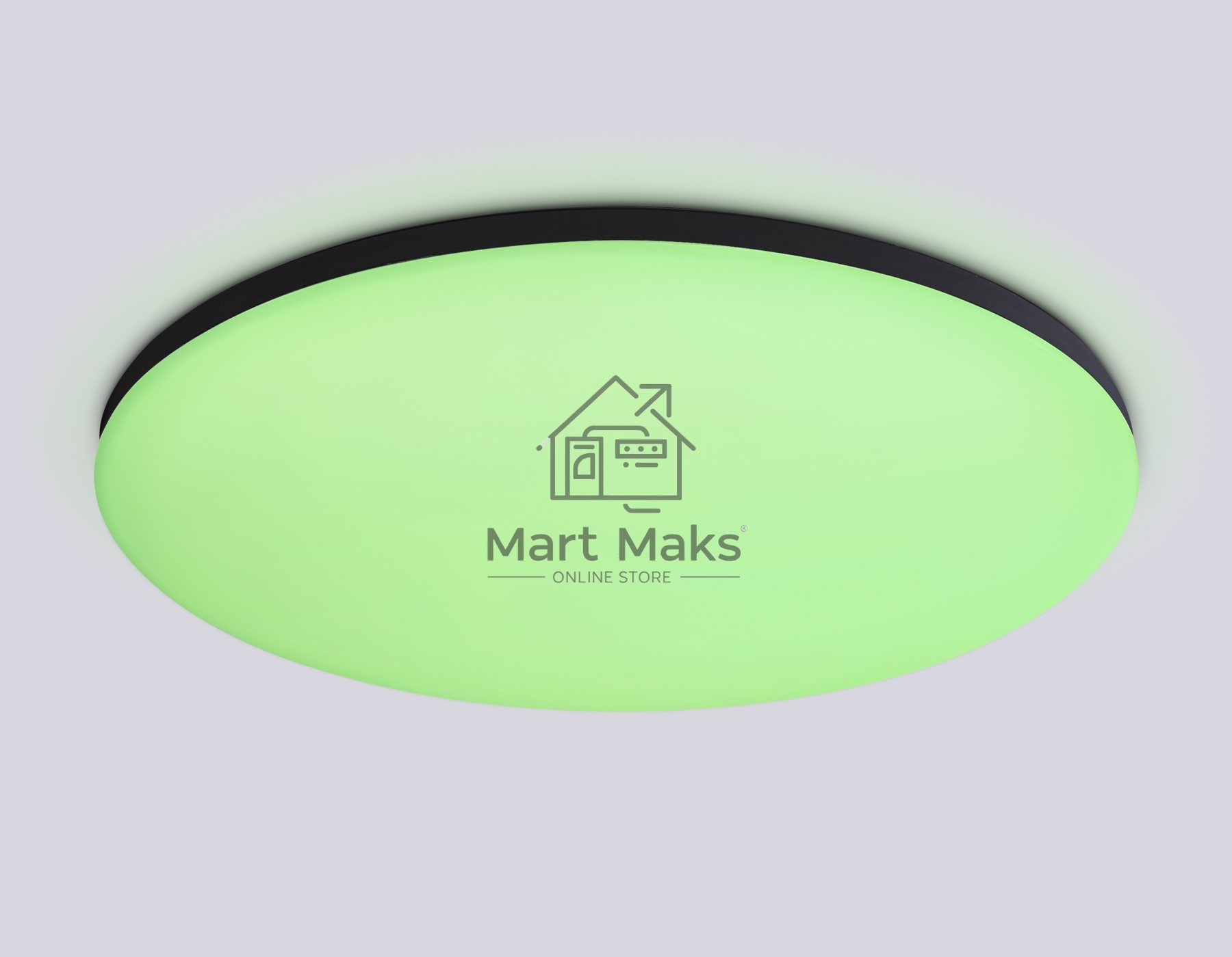 Умный светодиодный светильник FZ2005 BK черный IP54 25W 3000K-6500K+RGB Wi-Fi Алиса/Tuya/Smart Home/Alexa D370*55 (ПДУ ИК)