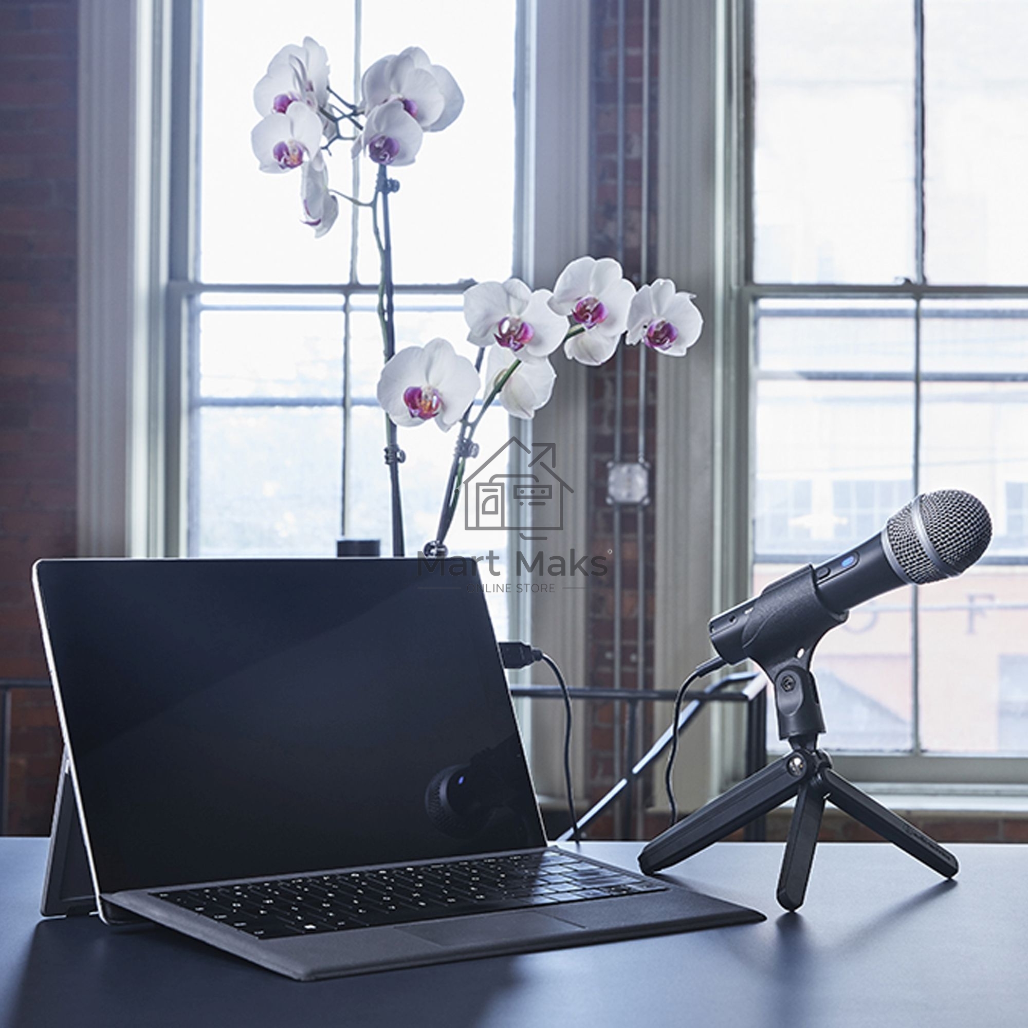 Микрофон проводной Audio-Technica ATR2100x 2м черный