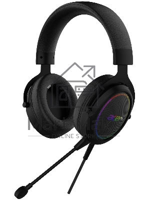 Наушники с микрофоном Acer AHW120 черный мониторные оголовье (ZL.HDSCC.01C)