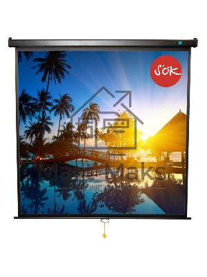 Экран 180x180см Wallscreen 1:1 настенно-потолочный рулонный черный 100'