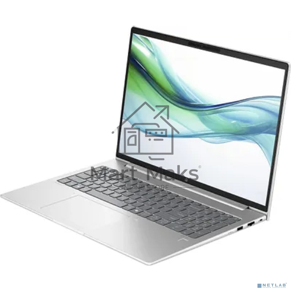 Ноутбук HP ProBook 460 G11 серебристый 16