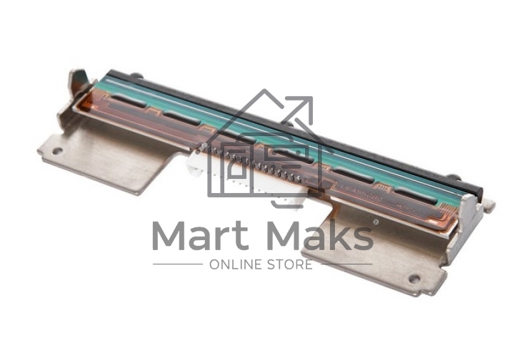 Печатающая головка iDPRT ASSY: iT4X, iT4P Printhead 300 DPI High speed
