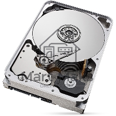 Жесткий диск HDD Seagate SkyHawk AI 16Tb 7200rpm SATA 512Mb 3.5