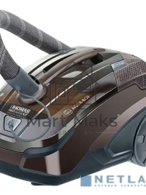 Моющий пылесос Thomas Parkett Master XT коричневый, 325/1700 Вт, уборка сухая/влажная/сбор жидкости, пылесборник контейнер 6 л
