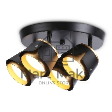 Светильник Ambrella light TN71243/4 BK/GD черный/золото GX53/4 D250*147