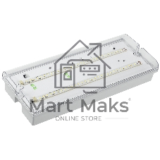 Светильник ДПА 5042-3 аккумулятор 3ч IP65 аварийный универс. подкл. IEK LDPA0-5042-3-65-K01
