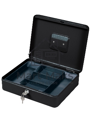 Ящик для денег Cactus CS-CB-004 90x300x240