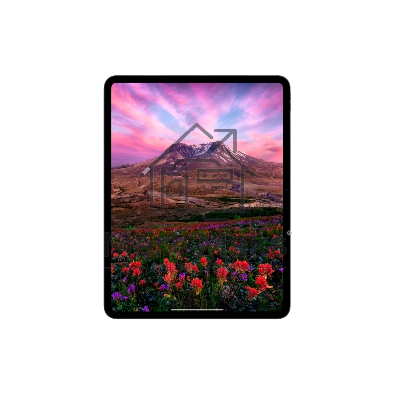 Планшет Apple iPad Pro 2024 A2836 11