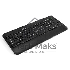 Клавиатура проводная ExeGate Professional Standard LY-E5500M, USB, черный