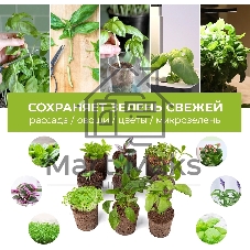 Набор питательных губок Cactus CS-SPONGE-11 для проращивания для CS-LEDPOT-11/SMARTPOT-11 (упак.:11шт) пакет