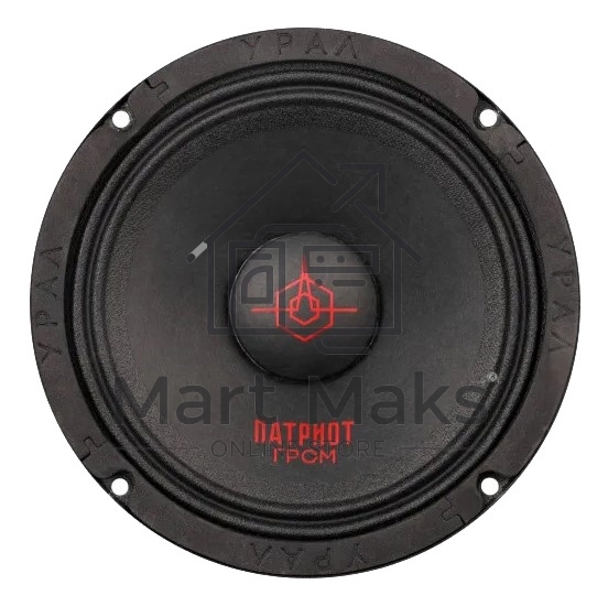 Колонки автомобильные Ural АС-ПТ165 ГРОМ (без решетки) 300Вт 99.5дБ 4Ом 16.5см (6 1/2дюйм) (ком.:1кол.) широкополосные однополосные
