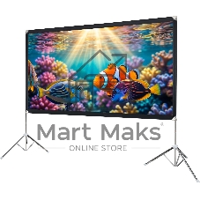 Экран с двойным штативом Lumien LSV-100102 Sky View рабочая область 124х221 см 100