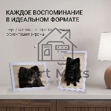 Фоторамка Digma 10.1
