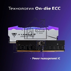 Оперативная память Patriot Viper Xtreme 5, DDR5, 32Gb (2x16Gb), 8000MHz, CL38, DIMM, с радиаторами, RGB, серебристый