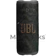 Портативная акустика JBLGRIPBLK черный
