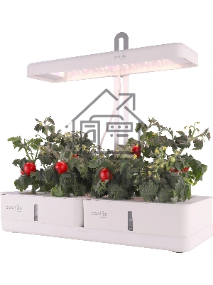 Гидропонная установка Cactus Garden 3л 20Вт белый (CS-LEDPOT-08)