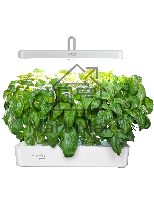 Гидропонная установка Cactus Garden CS-LEDPOT-10 2л 20Вт белый