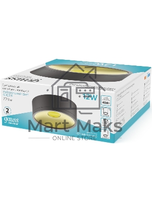 Светильник Gauss Overhead HD040 потолоч. 4000K цв.св.:белый серебристый/золотистый