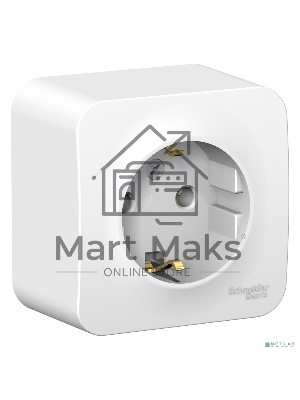 Розетка с/з без шторок 16А, 250В, изолир. пластина SE Blanca наруж Бел