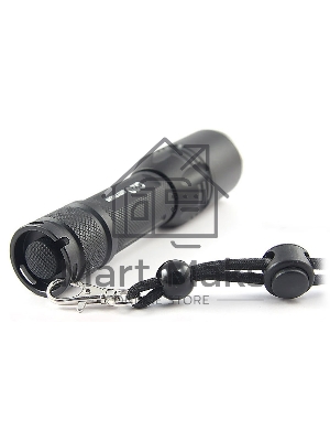 Фонарь универсальный Яркий Луч G20 ver.2 черный лам.:светодиод. 600lx (4606400613763)