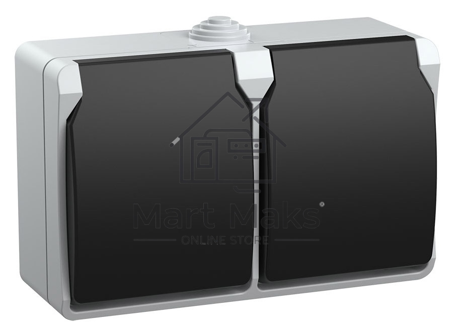 Розетка двухместная РСб22-3-ФСр с з/к для открытой установки IP54 Форс ERS22-K03-16-54-DC IEK