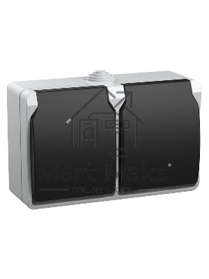 Розетка двухместная РСб22-3-ФСр с з/к для открытой установки IP54 Форс ERS22-K03-16-54-DC IEK