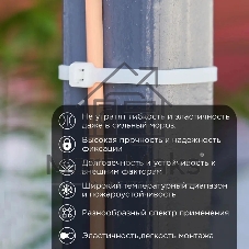 Стяжка нейлоновая морозостойкая Rexant 300x4,8 мм, белая (100 шт/уп)