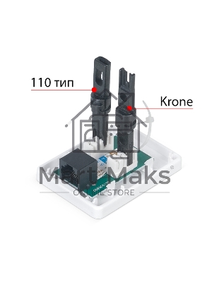 Розетка в сборе Cabeus, 1x RJ45(8P8C), кат. 6, неэкр., внешняя, белый, (WS-8P8C-Cat.6-1)