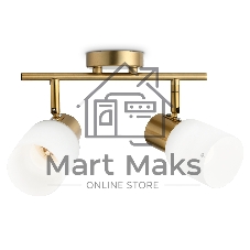 Светильник Ambrella light TR3969/2 BS/FR латунь/белый матовый  E27*2 max 40W 260*80*210