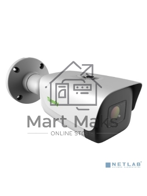 Камера видеонаблюдения IP Tiandy Pro TC-C32TS I8/A/E/Y/M/H/2.7-13.5мм/V4.0 2.7-13.5мм цв. корп.:белый (TC-C32TS I8/A/E/Y/M/H/V4.0)